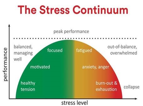 This graph represents the relationship between stress and performance and reminds us that stress exists along a continuum.